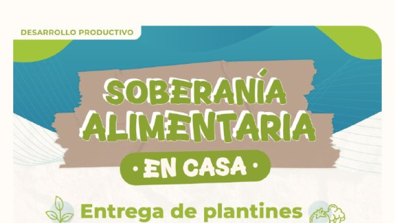 “Soberanía Alimentaria en Casa”: Están abiertas las inscripciones para recibir plantines de verduras