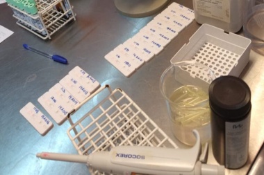 Salud especificó las medidas sanitarias y de seguridad que se realizan en el buque pesquero