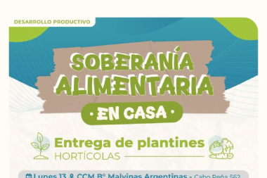 “Soberanía Alimentaria en Casa”: Están abiertas las inscripciones para recibir plantines de verduras